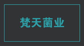 食品行业嘉兴冲锋衣设计款式